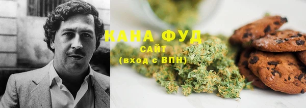хмурый Аркадак