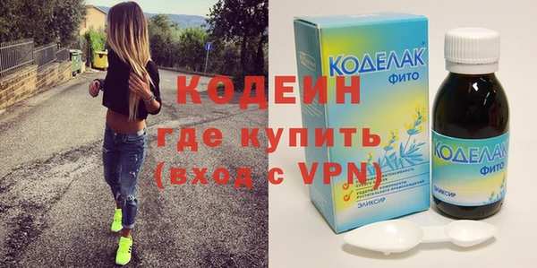 хмурый Аркадак