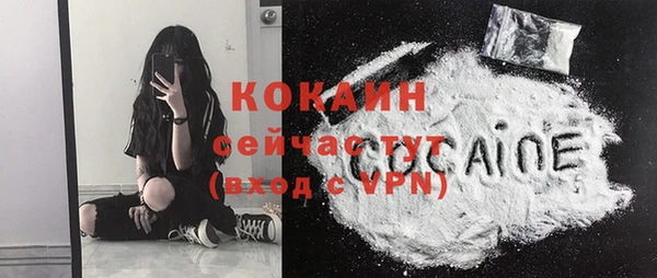 хмурый Аркадак