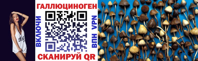 Галлюциногенные грибы Magic Shrooms  Сенгилей 