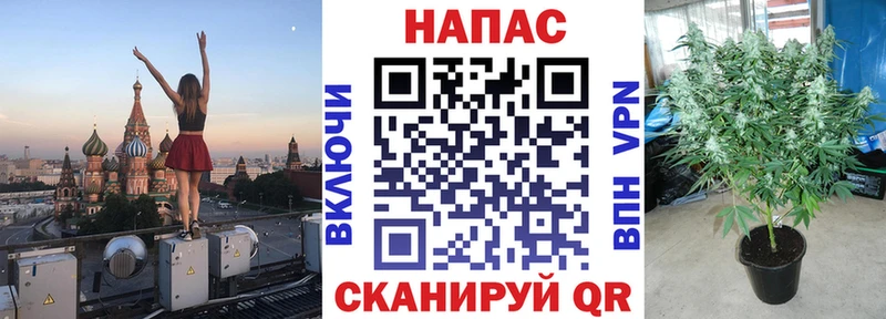 Каннабис AK-47  Сенгилей 